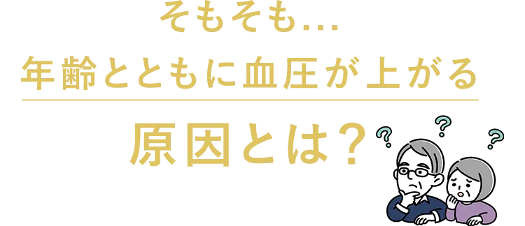 そもそも...年齢とともに血圧が上がる原因とは?
