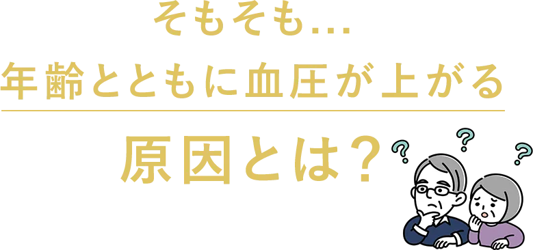 そもそも...年齢とともに血圧が上がる原因とは?